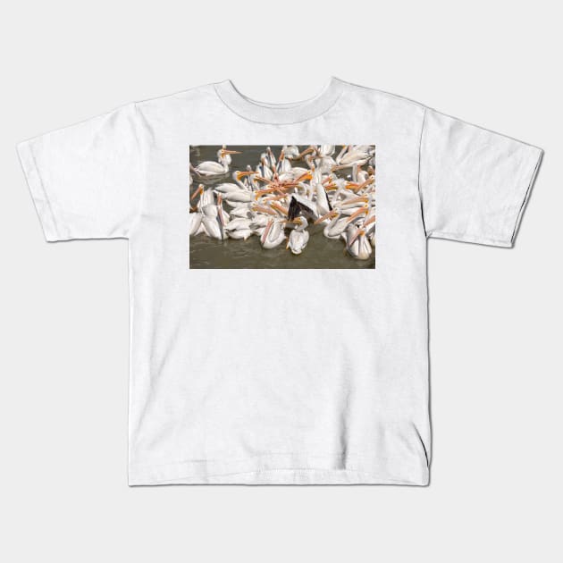 American White Pelicans Kids T-Shirt by Eunice1